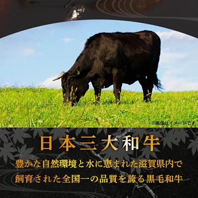 近江牛 ハンバーグ 淡路島産玉ねぎ 近江牛 使用 200g /5~15個（滋賀県竜王町）