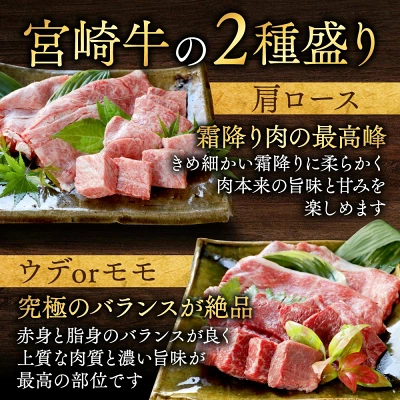 宮崎牛【赤身＆霜降り】2種食べ比べセット（宮崎県都城市）