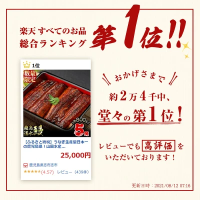鹿児島県産 山田水産の霧島湧水鰻 2尾or5尾（鹿児島県志布志市）