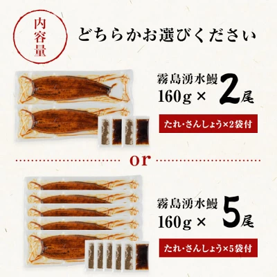 鹿児島県産 山田水産の霧島湧水鰻 2尾or5尾（鹿児島県志布志市）